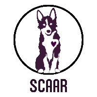 Second Chance Auction Animal Rescue